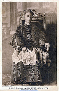 Schustercardinal.jpg